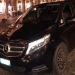 Private vip airport transfer from Fiumicino Airport to Civitavecchia Port - Who Is This Best For?