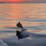 Private VIP Sunset Tour in Naxos - Who Is This Tour Best For?