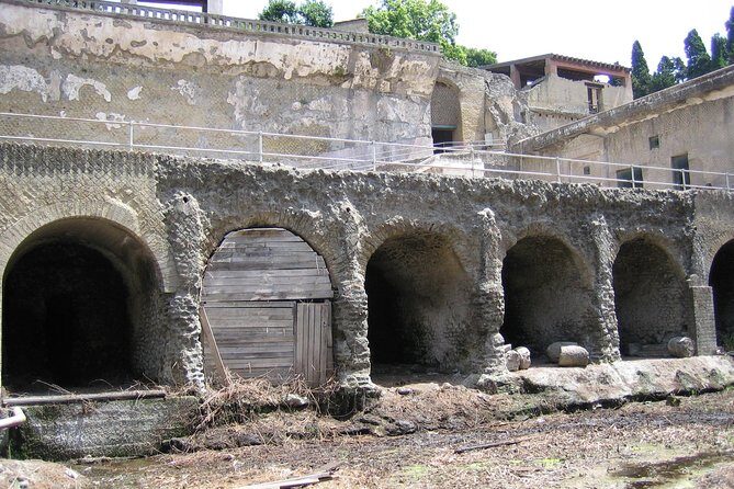Private Vip Tour of Pompeii Day Trip From Rome - What Makes This Tour Stand Out?