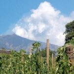 Private visit to the cellars of Etna with wine tasting - A Deep Dive into the Wine Cellar Tour