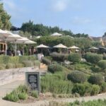 Private Waiheke Food & Wine Tour - Value and Practical Details