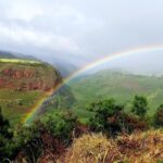 Private Waimea Canyon Tour - A Practical Guide to the Private Waimea Canyon Tour