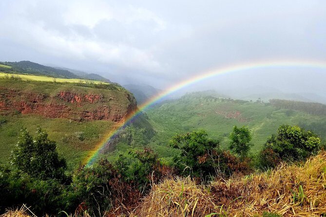 Private Waimea Canyon Tour - A Practical Guide to the Private Waimea Canyon Tour