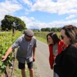 Private Wairarapa Wine Delights Tour from Wellington - The Experience: What You Can Expect