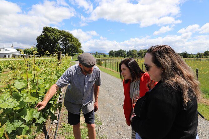 Private Wairarapa Wine Delights Tour from Wellington - The Experience: What You Can Expect