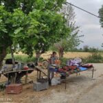 Private walk like a local Bodrum tour - Practical Details and Final Thoughts