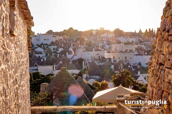 Private walking tour in Alberobello - Who Should Book This Tour?