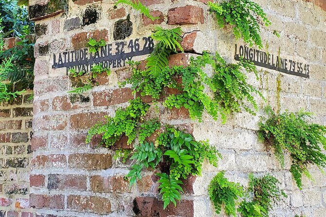 Private Walking Tour of Historic Charleston - A Deep Dive into the Charleston Private Walking Tour