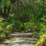 Private Walking Tour to St. John's Botanical Garden - What You Can Expect: The Experience in Detail