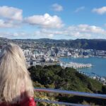 Private Wellington Full Day Sightseeing Tour - Final Thoughts: Is This Tour For You?