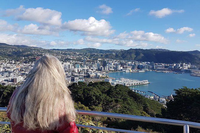 Private Wellington Full Day Sightseeing Tour - Final Thoughts: Is This Tour For You?