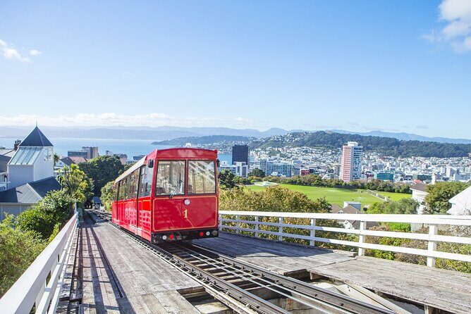 PRIVATE Wellington Half Day Tour including Cable Car - Who Will Love This Tour?
