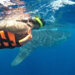 Private Whale Shark Tour from Cancun - Who Should Consider This Tour?