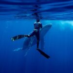Private Whale Watching Adventure in Mo'orea - Authentic Feedback from Travelers