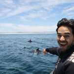 Private Wild Dolphin Encounter Day Trip - Practical Tips for Your Trip