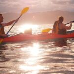 Private Wildlife Kayaking Tour - Kaikoura - An In-Depth Look at the Wildlife Kayaking Experience