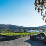 Private Wine Adventure Tour in the Most Distinct Wineries - Exploring Santorini’s Wineries: A Deep Dive