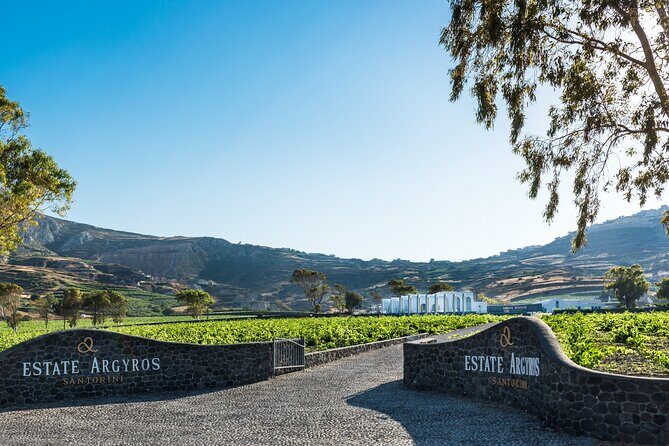 Private Wine Adventure Tour in the Most Distinct Wineries - Exploring Santorini’s Wineries: A Deep Dive