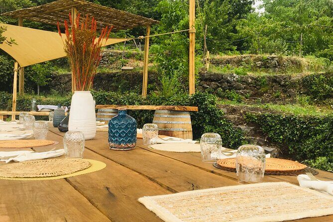 Private Wine and Food Tasting Immersed in Nature in Milo - The Itinerary in Detail