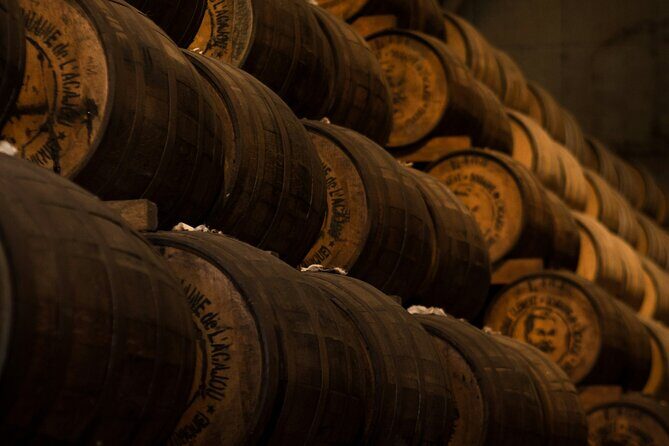 Private Wine Cellar Tour Near Rome - What Makes This Tour Stand Out