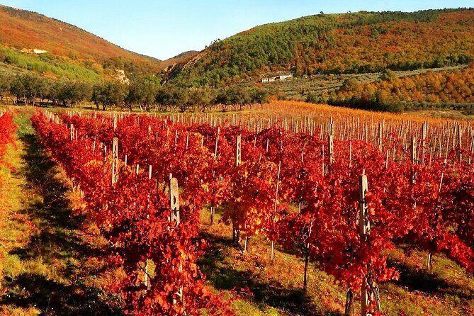 Private Wine & Culture Tour Hidden Tuscany: Pitigliano & Sovana - The Sum Up