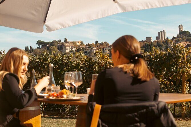 Private Wine & Evo Oil Tasting with Saffron Meal - Who Will Love This Experience?