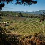 Private Wine & Food Pairing at Silva Winery (10 labels) - FAQ