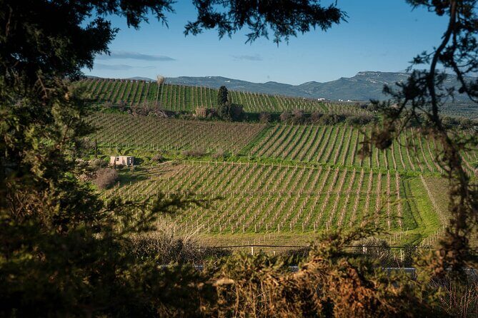 Private Wine & Food Pairing at Silva Winery (10 labels) - FAQ