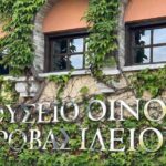 Private Wine & Museum Tour at Gerovassiliou Winery - The Sum Up