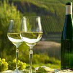 Private Wine Tasting Tour in Munich with a Wine Expert - Why This Tour Works Well for Travelers