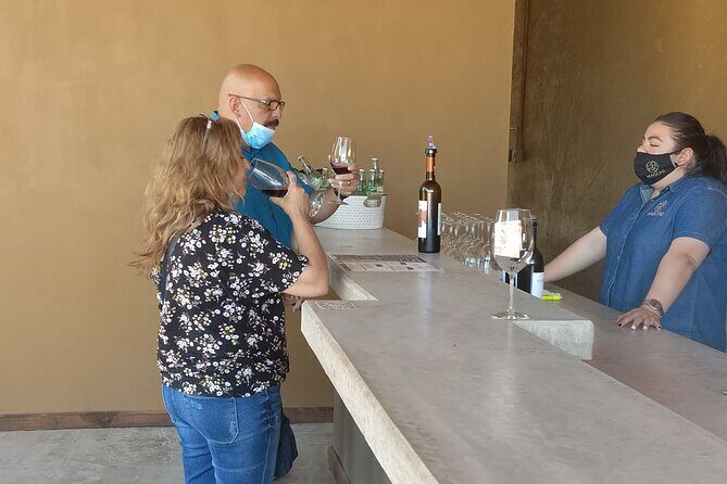 Private wine tour - A Closer Look at the Itinerary and Experience