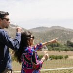 Private Wine Tour by Ansell Tours - Practical Tips for Your Day