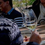 Private Wine Tour from Guanajuato City - Visiting the Vineyards: What Sets Them Apart?