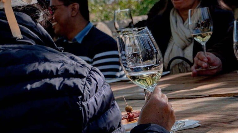 Private Wine Tour from Guanajuato City - Visiting the Vineyards: What Sets Them Apart?