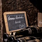 Private Wine Tour in Côte de Nuits and Côte de Beaune - Who Should Consider This Tour?