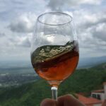 Private Wine Tour In Kakheti Region with 7 Wines and Lunch - FAQs about the Kakheti Private Wine Tour