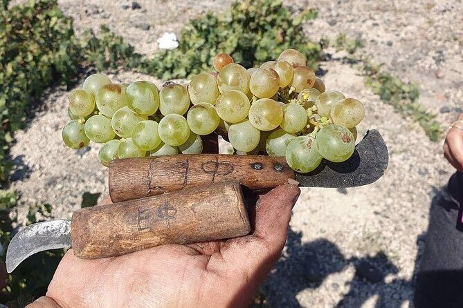 Private Wine Tour in Santorini - FAQ