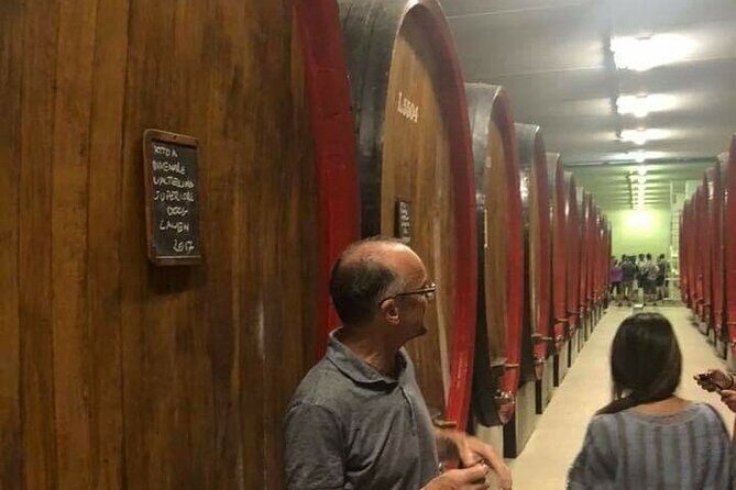 Private Wine Tour: Terraced Vineyards with Alpine view from Milan - Authentic Experiences and Genuine Value
