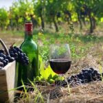 Private Wine Tour to Kakheti from Tbilisi - The Itinerary in Detail: What You’ll See and Do