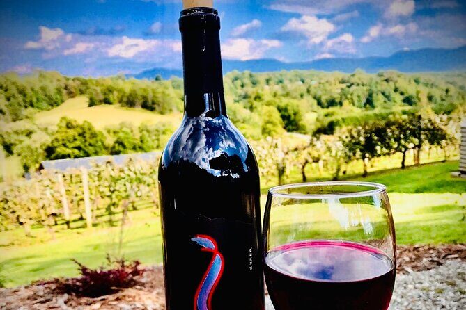 Private Wine Tour with Dine in Black Mountain from Asheville - The Sum Up