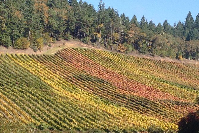 Private Wine Tour with Tastings from Eugene - Final Thoughts: Who Will Love This Tour?