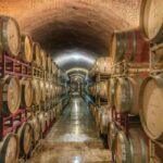 Private winery tour - A Deep Dive into the Provence Private Winery Experience