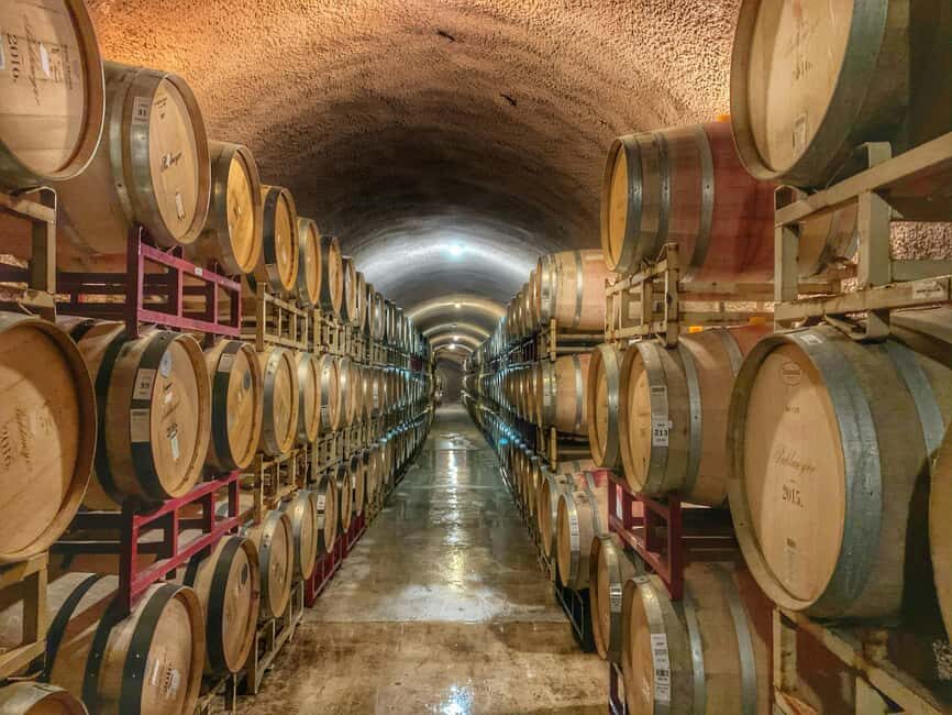 Private winery tour - A Deep Dive into the Provence Private Winery Experience
