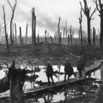 Private World War I Battlefield Tour from Brussels to Flanders - Who Will Love This Tour?