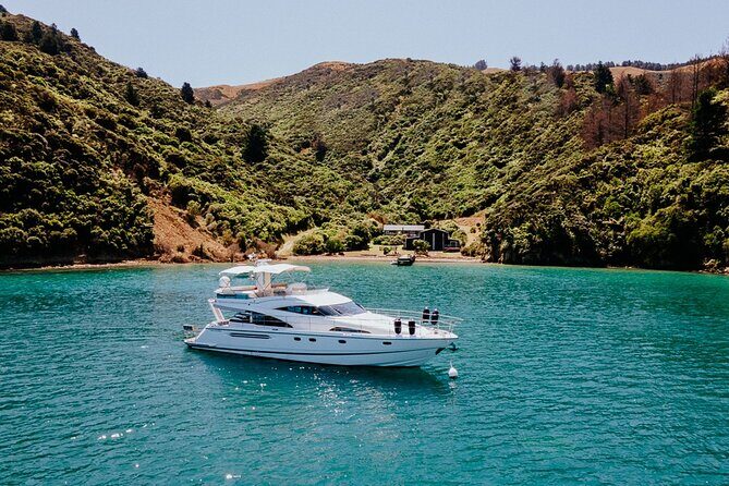 Private Yacht Cruise in the Marlborough Sounds New Zealand - Final Thoughts: Is This Tour Worth It?