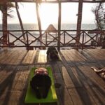 Private Yoga Classe for 1 or 2 people - Puerto Morelos - An In-Depth Look at the Puerto Morelos Private Yoga Experience