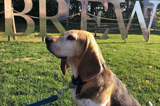 Private:Brewery, Winery, and Cider & Spirit Tastings Tour in SW Ontario - FAQs