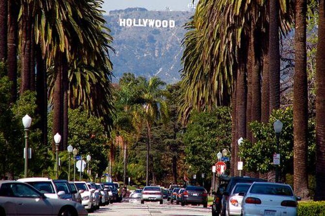 Privately Customized Tour of Los Angeles - What to Expect from the Transport and Logistics