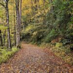 Privately Guided Full Day Hike - Final Thoughts