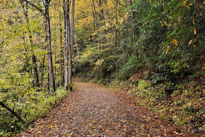 Privately Guided Full Day Hike - Final Thoughts